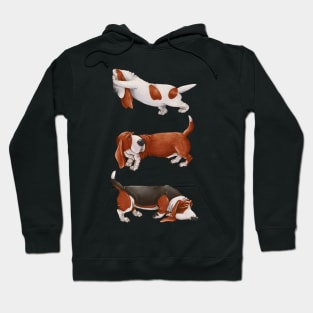 Cute Basset Hound. Funny dogs. Hoodie